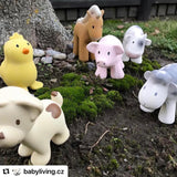 Sheep - Organic Natural Rubber Rattle, Teether & Bath Toy