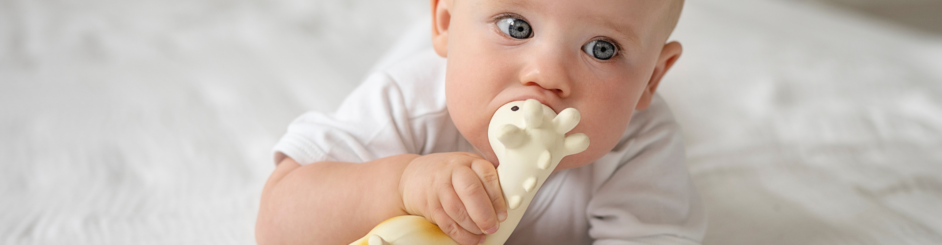 Everything You Need to Know About Organic Natural Rubber Baby Toys