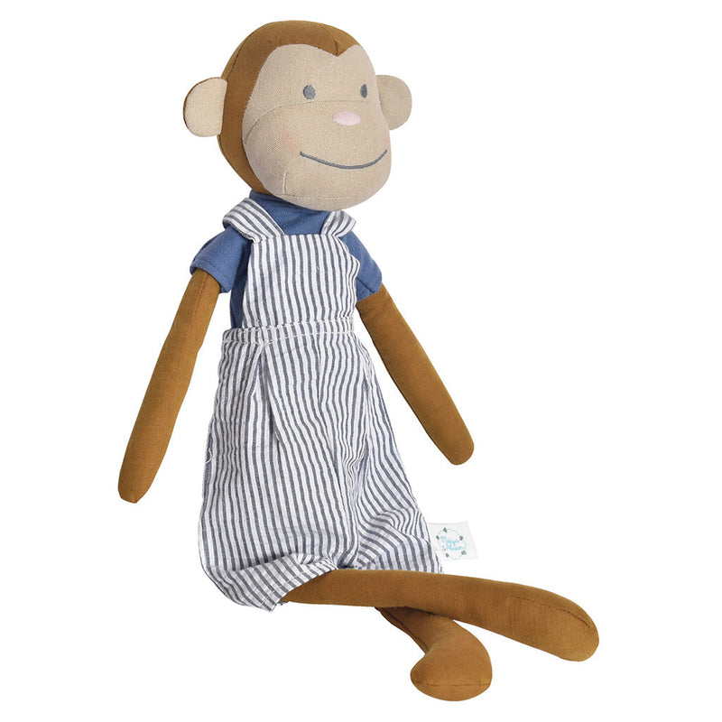 Monkey - Mateo