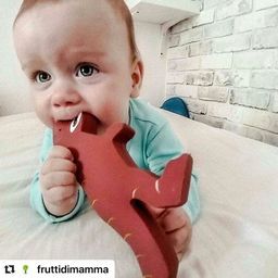 Baby  Tyrannosaurus Rex ( T - Rex ) Rubber Toy - Tikiri Toys Sri Lanka