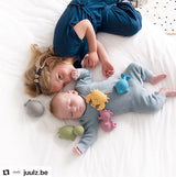 Turtle — Organic Natural Rubber Rattle, Teether & Bath Toy