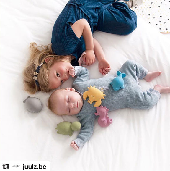 Turtle — Organic Natural Rubber Rattle, Teether & Bath Toy